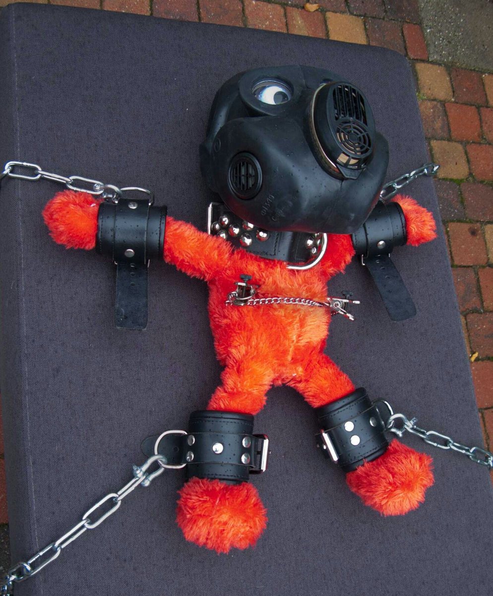 Today I would rather play than work... surely Elmo needs a good session again 🐶😀