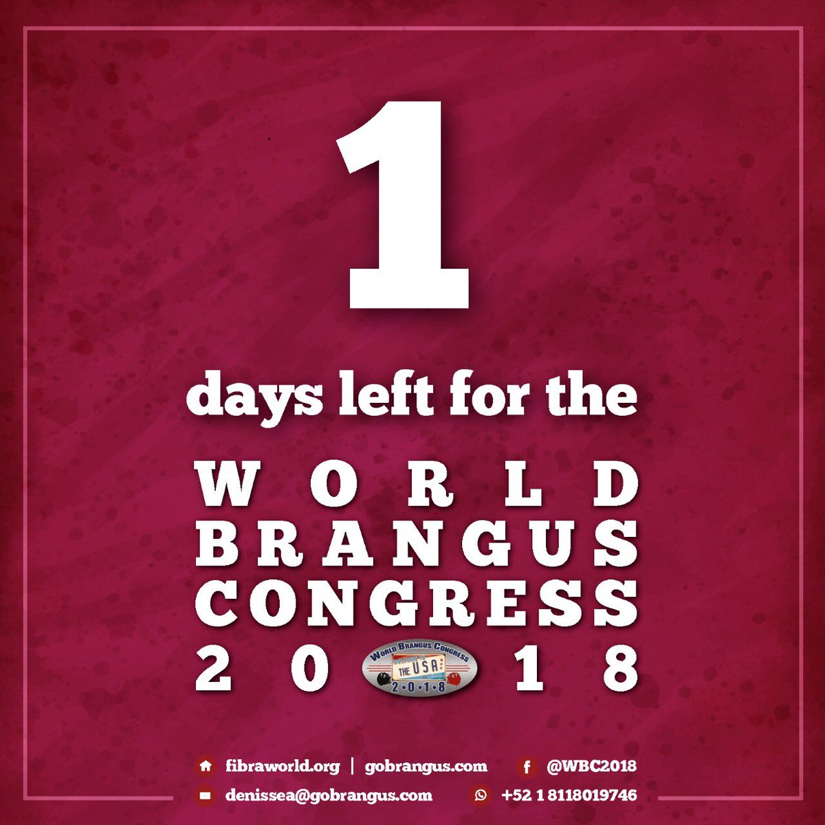 fibrangusa's tweet photo. https://t.co/jwhuVEcCVG