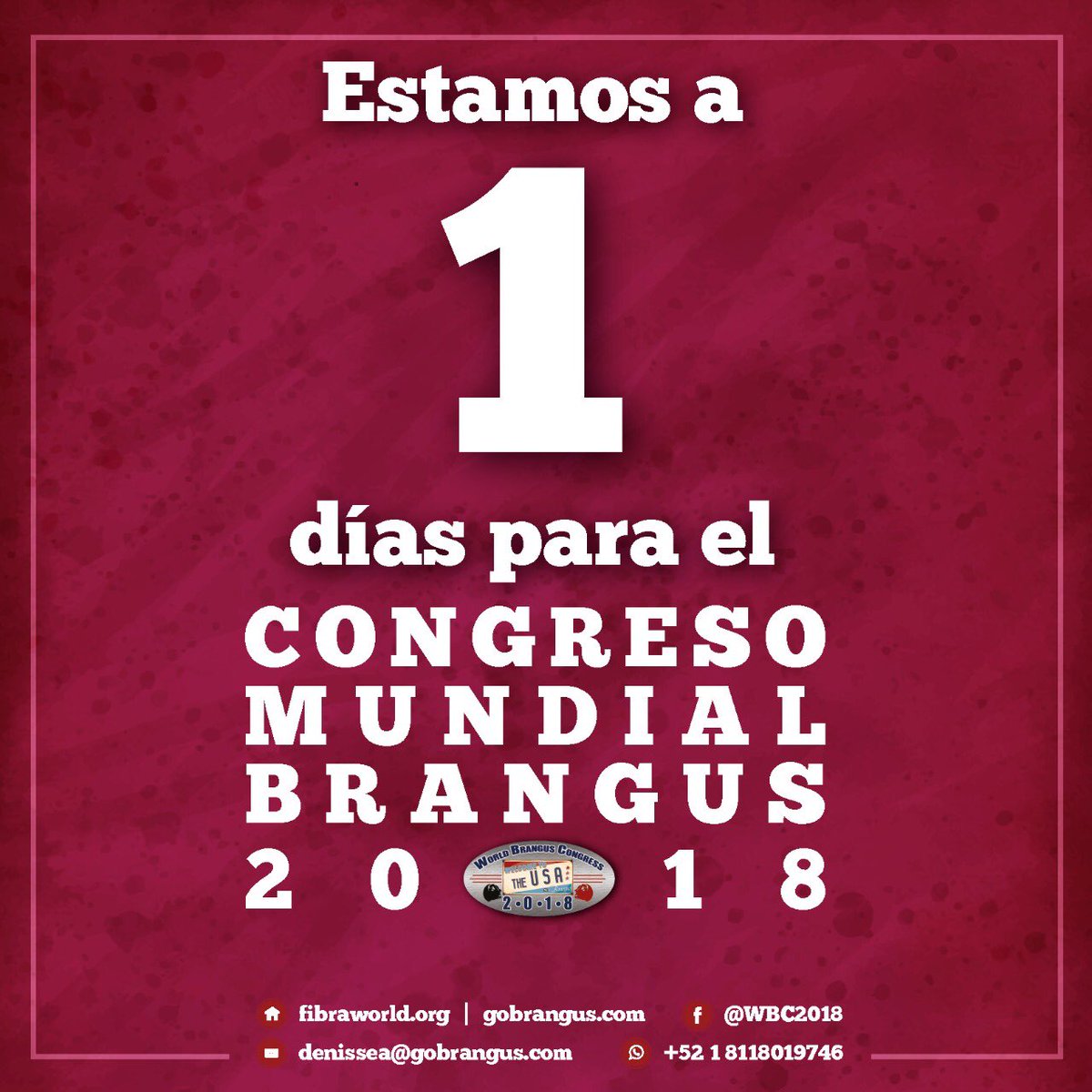 fibrangusa's tweet photo. https://t.co/jwhuVEcCVG