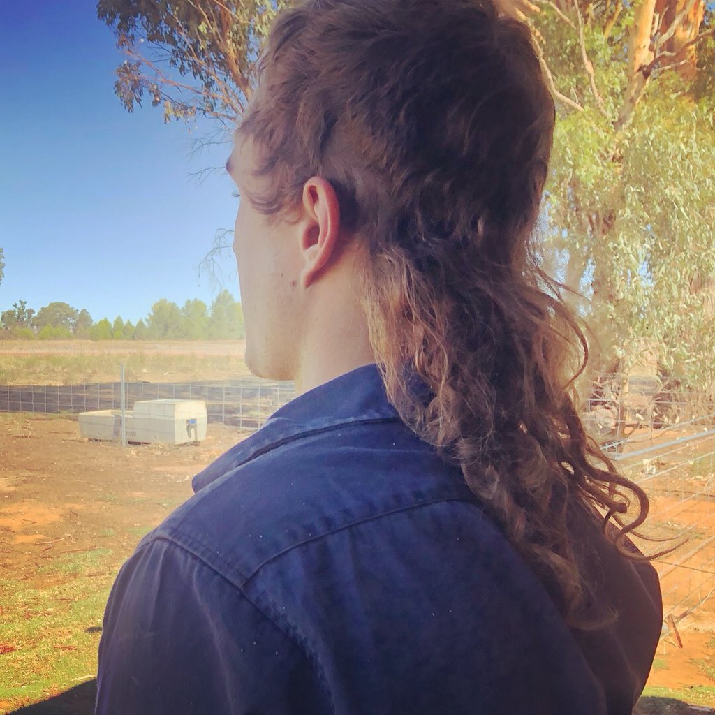 Stockcrete's tweet photo. We are claiming Charlie as #agsbestmullet @thelandnews Two and a half years effort 👍🇦🇺 https://t.co/2NnBcVuOH0