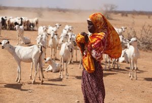 PastoralistGirl's tweet photo. Women and girls are the most affected by the drought. #SupportPGI #DroughtIsReal @melindagates @mamacash @IDRF @ajws @gatesfoundation @WaterAidUK @UKAidDirect https://t.co/DOx104IwlU