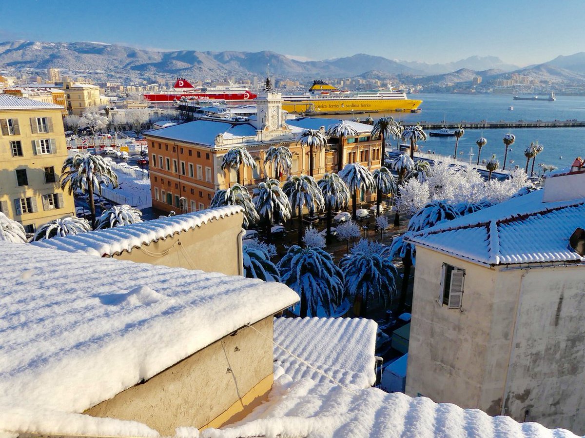 #vaguedefroid : #Ajaccio (Corse) s'est réveillé sous une belle couche de #neige - photo @SANTONIBRUNELLI