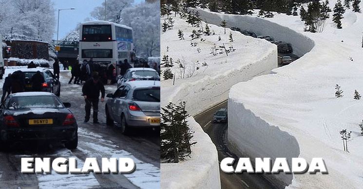 You may not know this, but our Executive Chef and Founder, Robert, originally hails from Canada. So, just in case things do get a tad snowy in the next few days - never fear: THE FOOD WILL GET THROUGH! independencemarket.com
