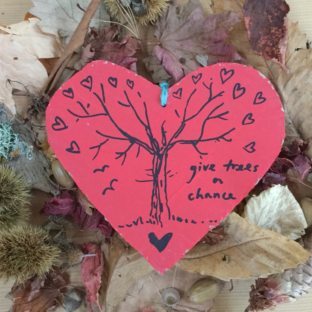 sj_unwin's tweet photo. 💚Day 14💚Vernon’s 💚#ShowtheLove 💚#ValentinesDay Heart messages “Give Trees A Chance” #SaveSheffTrees #TheWorldIsWatching #StandWithVernon @SAVEDORETREES #StandByTree #Treelove https://t.co/hgzNMgc7hF