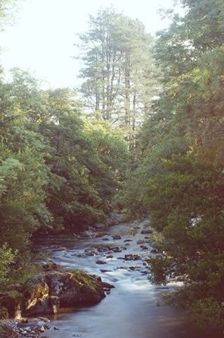 SDBPhotos131981's tweet photo. #LakeDistrict #River #trees #beautiful #picoftheday #photography #landscapephotography #landscape https://t.co/HeNulxR1sg