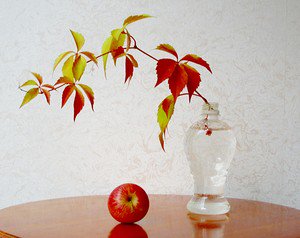 Эх,Яблочко...