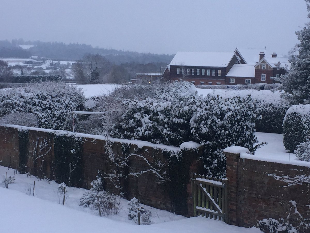 Frances Healy tweet media