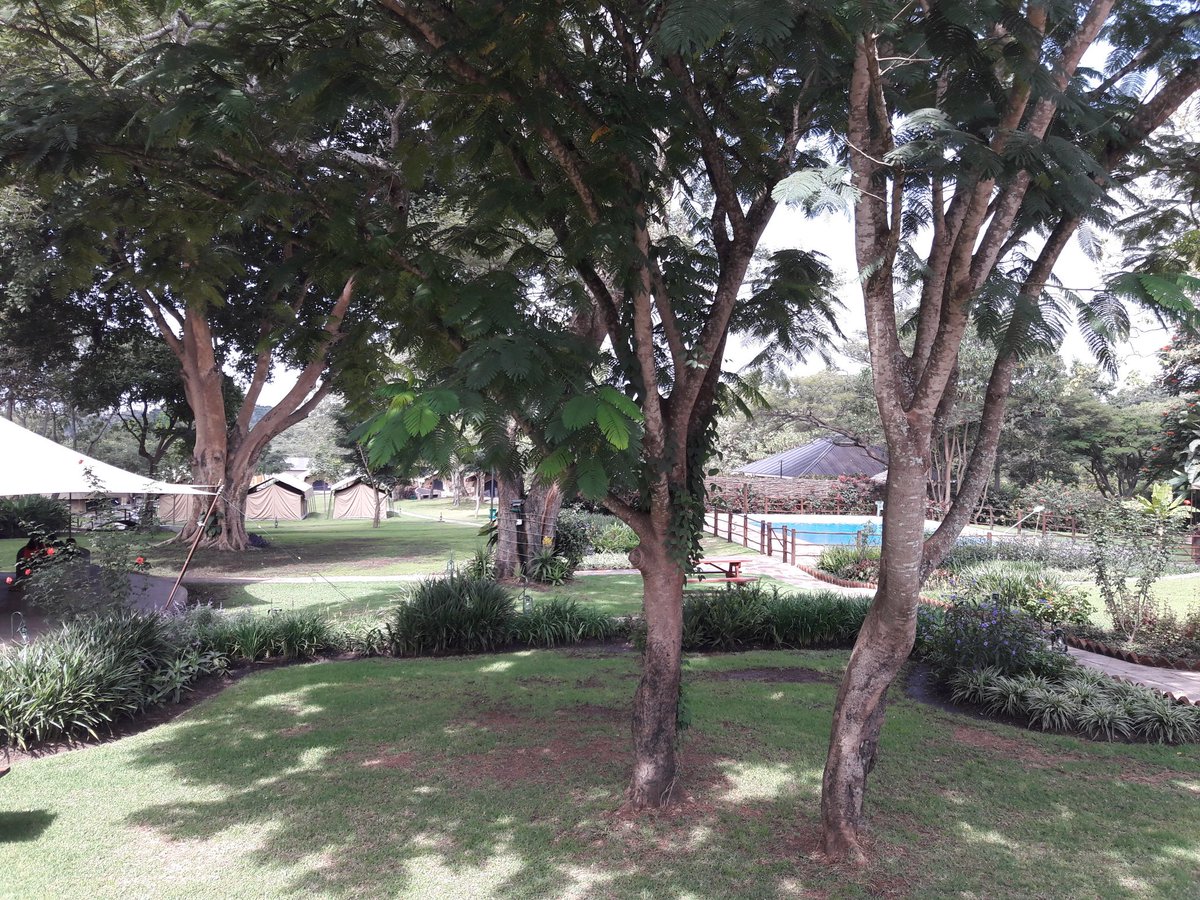 Day 1 at Shamba Kipara