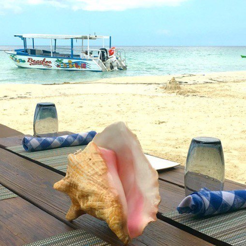 spaceinyourcase's tweet image. To cheer you up if there’s snow outside and it’s your turn to defrost the car. You’ll find lots of Caribbean beach spam on our site right now. Who’s hovering over the ‘book now’ button this morning? ☀️🏖
#familytravelmoment #familytravel #travelwithki… ift.tt/2osSbpI