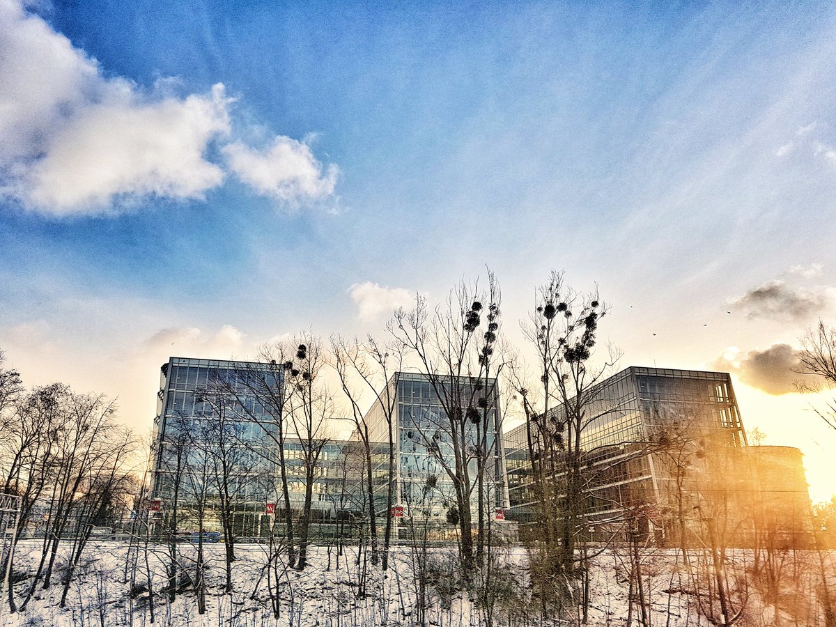 gogdynia's tweet photo. #dziendobry #poranek #milegodnia #gogdynia #visitgdynia #ppnt #ppntgdynia #rano #goodmorning #morgen #luty #herecomesthesun #sun #Samsung #sgs7 https://t.co/wLEkBqzEW1