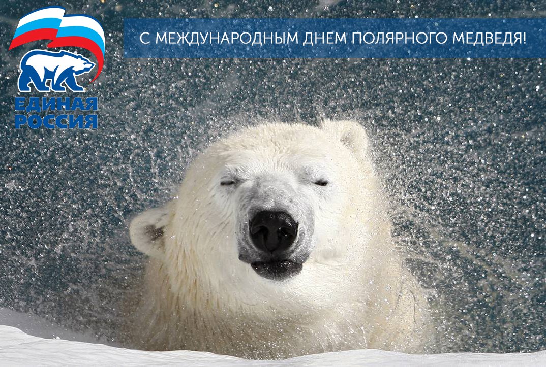 стильных поздравление с днем полярного медведя картинки является одним