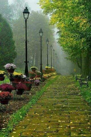 layanoo__'s tweet photo. كذاب من قــــال أن
الغايب معاه عـــــــذره

#بريق_الامل_للدعم 
#ندو_الهلالي_للدعم 
#قروب_الليوث_للدعم 
#قروب_الامبراطور_للدعم 
#قروب_الامل_للدعم 
#قروب_امير_للدعم 
#قروب_جنون_للدعم https://t.co/XR7LKeoLJK