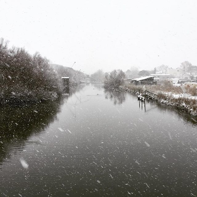 Enrico1977's tweet photo. Alla fine il #burian è arrivato, anche a #cervia .
.
.
#pinarella #cerviamilanomarittima #milanomarittima #tagliatadicervia #igers #igersitalia #igersromagna #igerscervia #panorama #favouriteplace #favouriteplaces #natura #nature #naturelovers #naturelover #goodlife #goodvib… https://t.co/svscrvmFSX