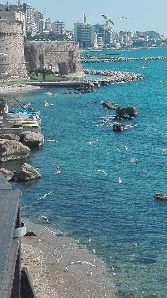 LizaFanelli's tweet photo. Ci sono solo due giorni all’anno in cui non puoi fare niente: uno si chiama ieri, l’altro si chiama domani, perciò oggi è il giorno giusto per amare, credere, fare e, principalmente, vivere.
(Dalai Lama) #Buongiorno #Burian #Taranto #27febbraio https://t.co/J0NJTx0X7f