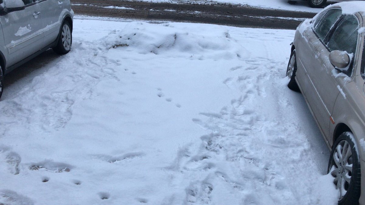 Isaac Igwe (@isaac_igwe) on Twitter photo 