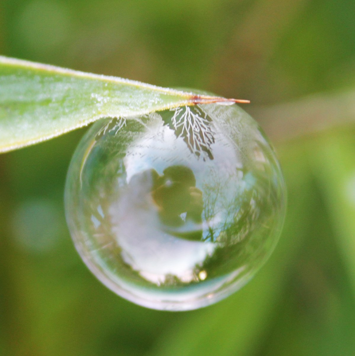 Hannahbella_nel's tweet image. -3°C in Willsbridge this morning 
❄️🌞❄️
What's it like near you? 

#Icebubble #Bristol #StormHour
