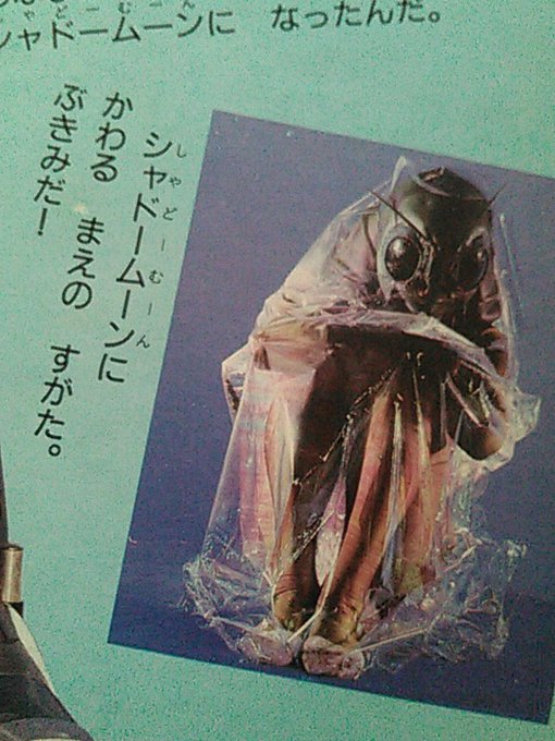 Kiba Leo 18年02月 Page 2 Twilog