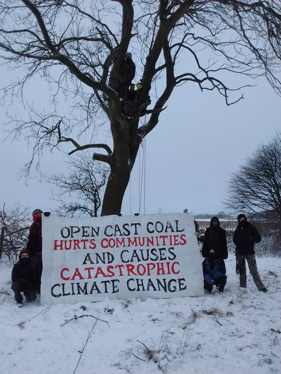 Coal Action Network tweet media