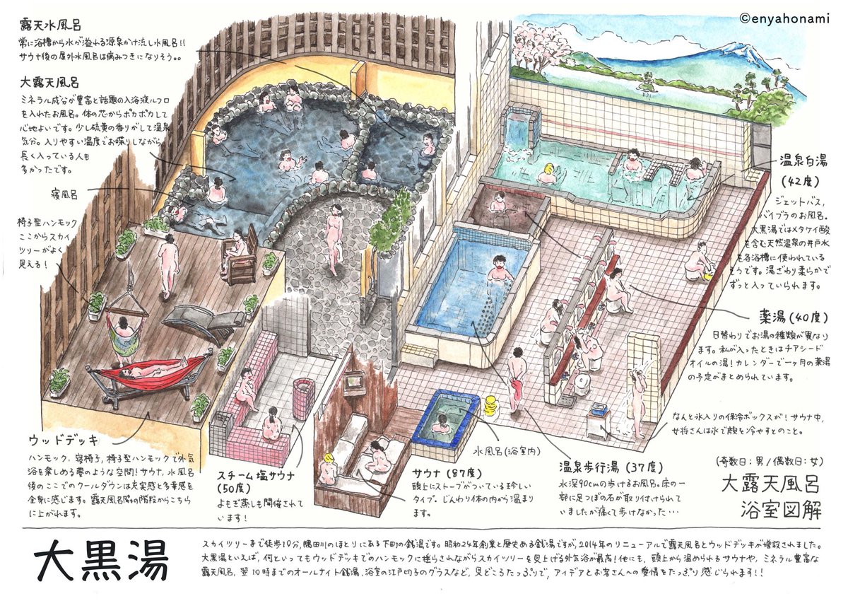 銭湯図解頂きました〜‼ 大黒湯の見どころをぎゅっと一枚に可愛くまとめ