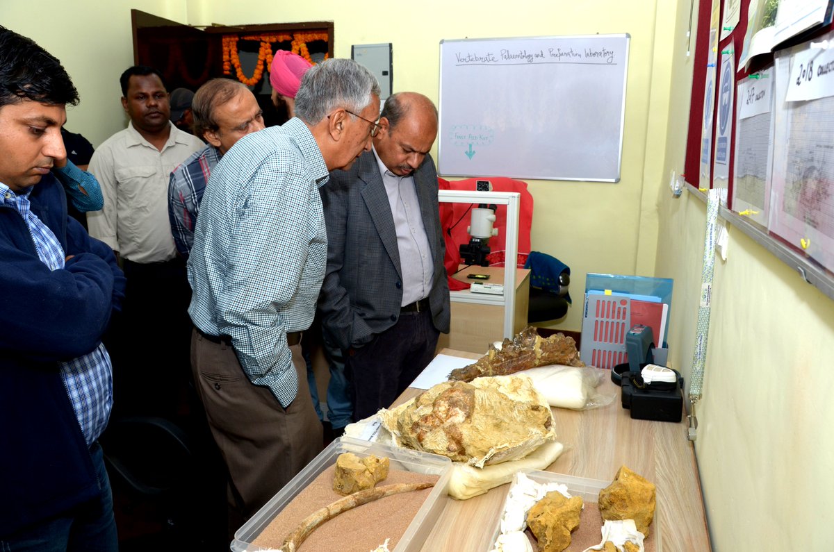 BirbalSahniInstitute tweet media