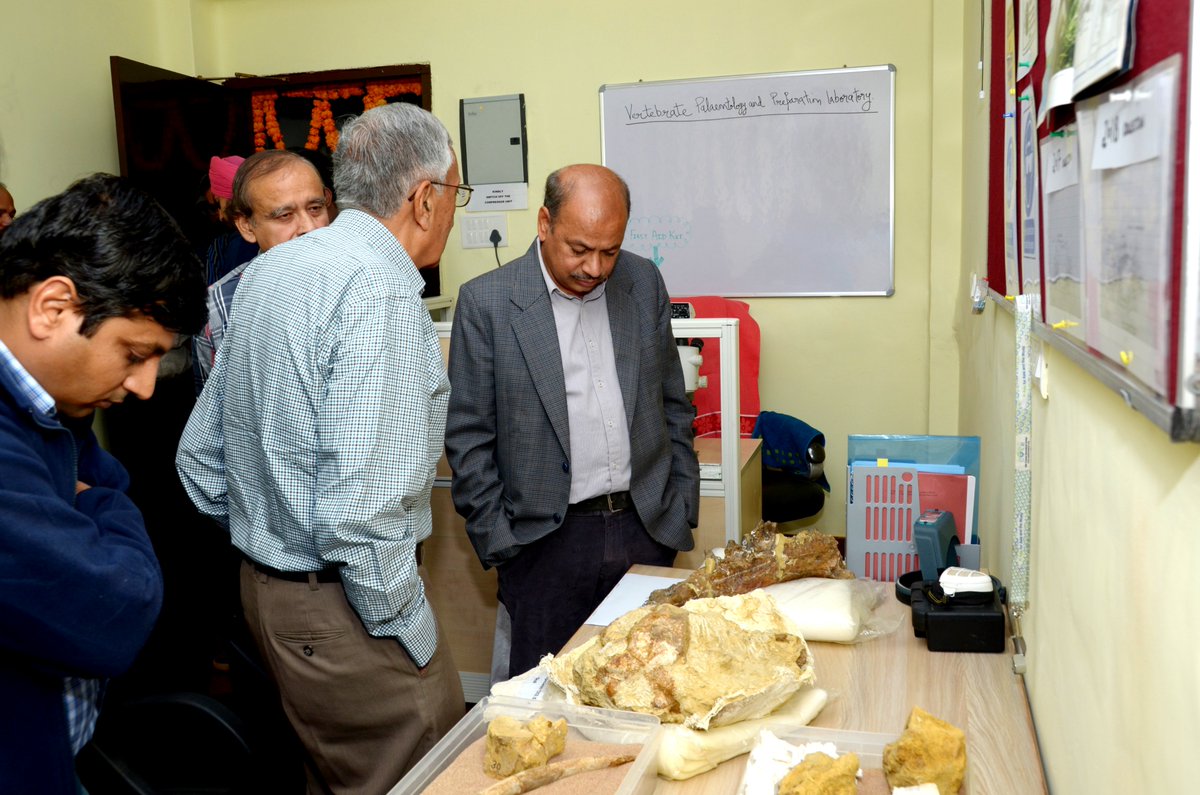 BirbalSahniInstitute tweet media