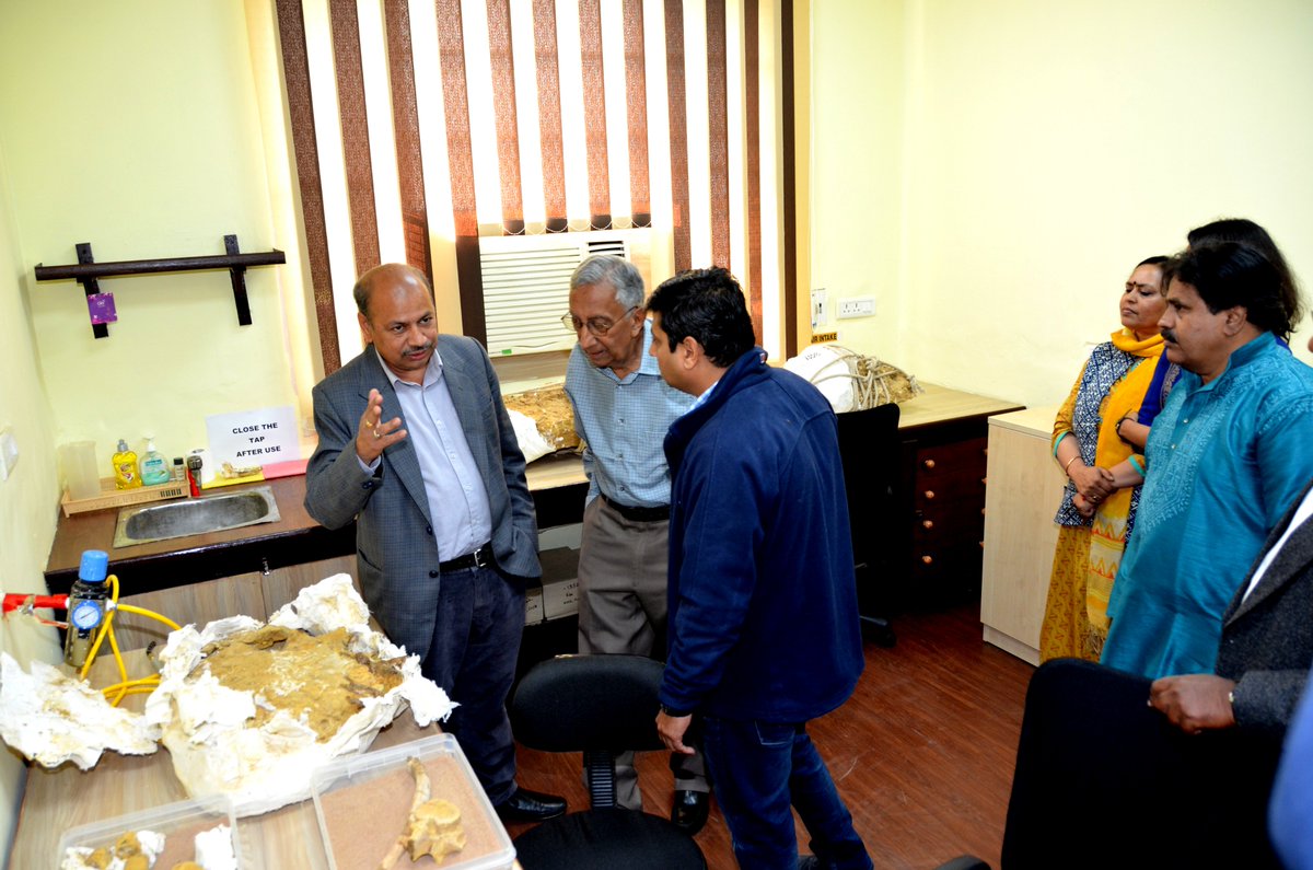 BirbalSahniInstitute tweet media