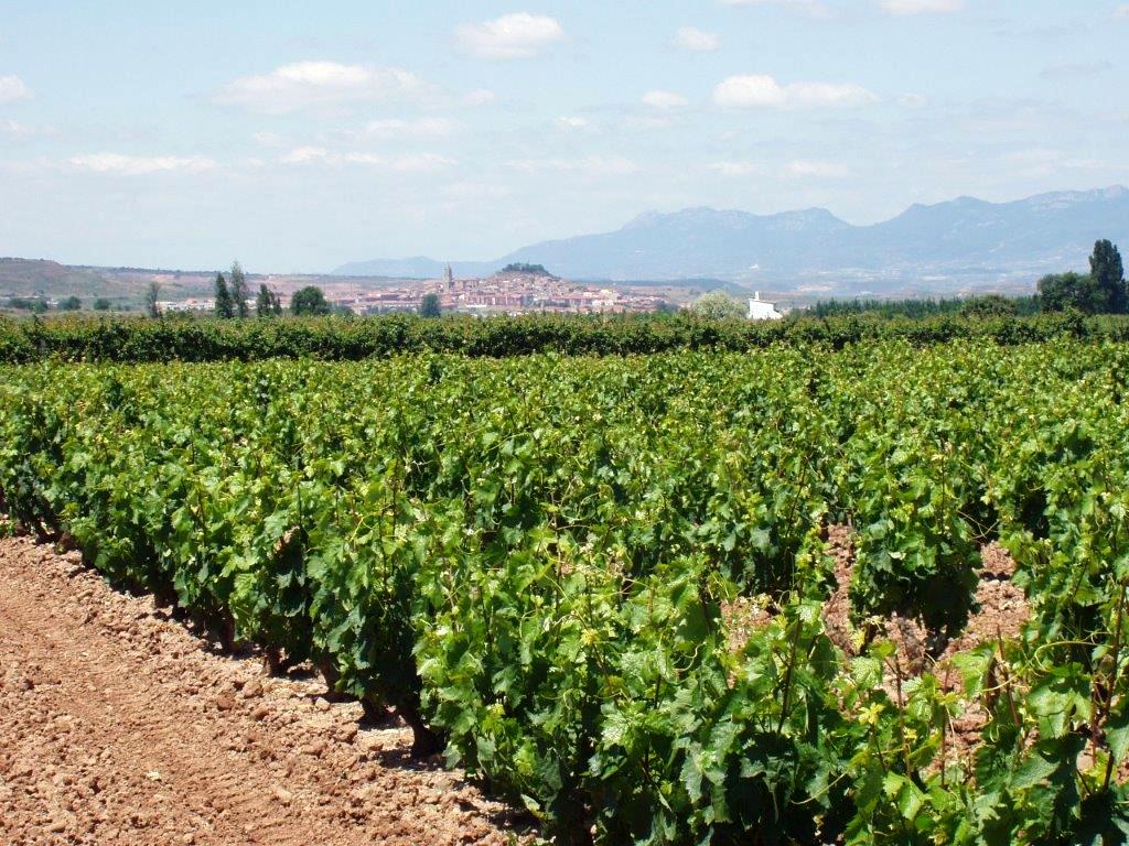 SEIASA_OFICIAL's tweet image. #BuenosDias 📣 la inversión de 11.737.000 € para #modernizaciónderegadíos @mapamagob será realidad en @lariojaorg firmando los convenios autorizados por el Consejo de Administración, para ejecutar las obras en la CR del Sector 1º Tramo III, M.I.Najerilla, Acequia de San Asensio