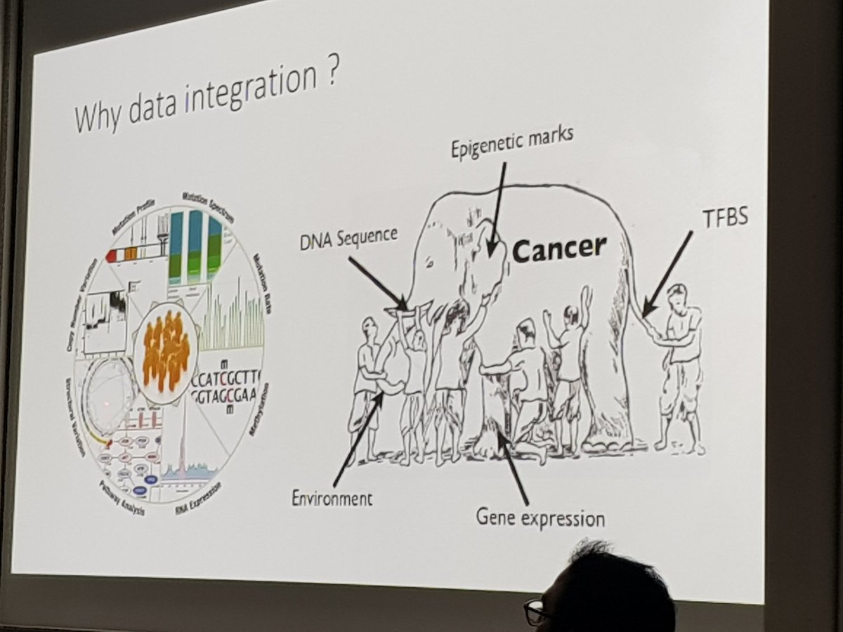 ZelminaL's tweet photo. Illustration of the need for #holistic approach and #DataIntegration #systemsbiology #networks #networkModules https://t.co/xqM9RnfHJf