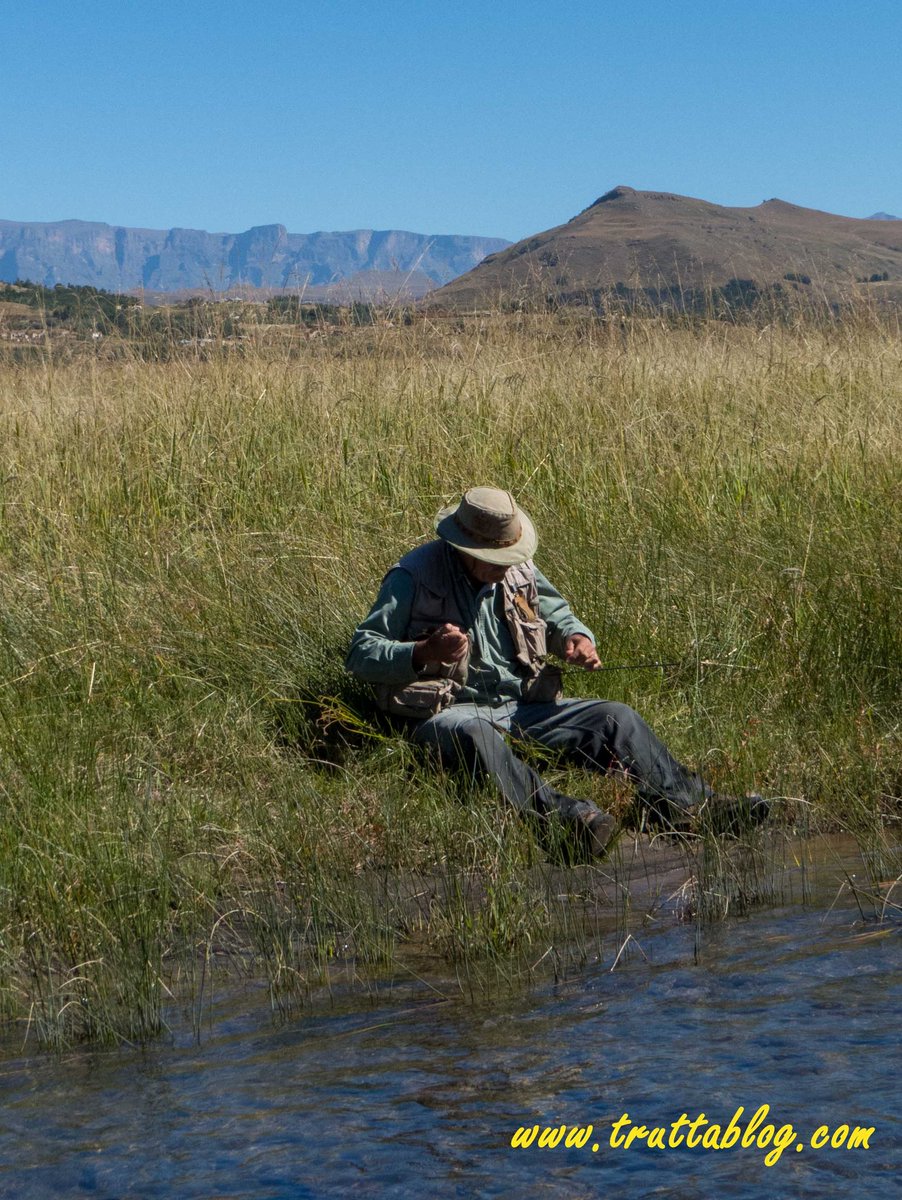 Truttablog's tweet photo. Tall grass and hot sun are the order of the day in February. #summer #troutbum #troutstreams #bushmans #flyfishing https://t.co/E4UtSRJoRX