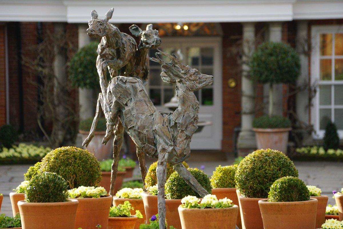 yovennpeignet's tweet photo. A bit cold today but lovely sunny day @chewtonglen #chewtonglen #chewtonglengardens @VisitHampshire #dear #sculpture #luxurytravel @relaislondon @RelaisChateaux https://t.co/M35e9STeqw