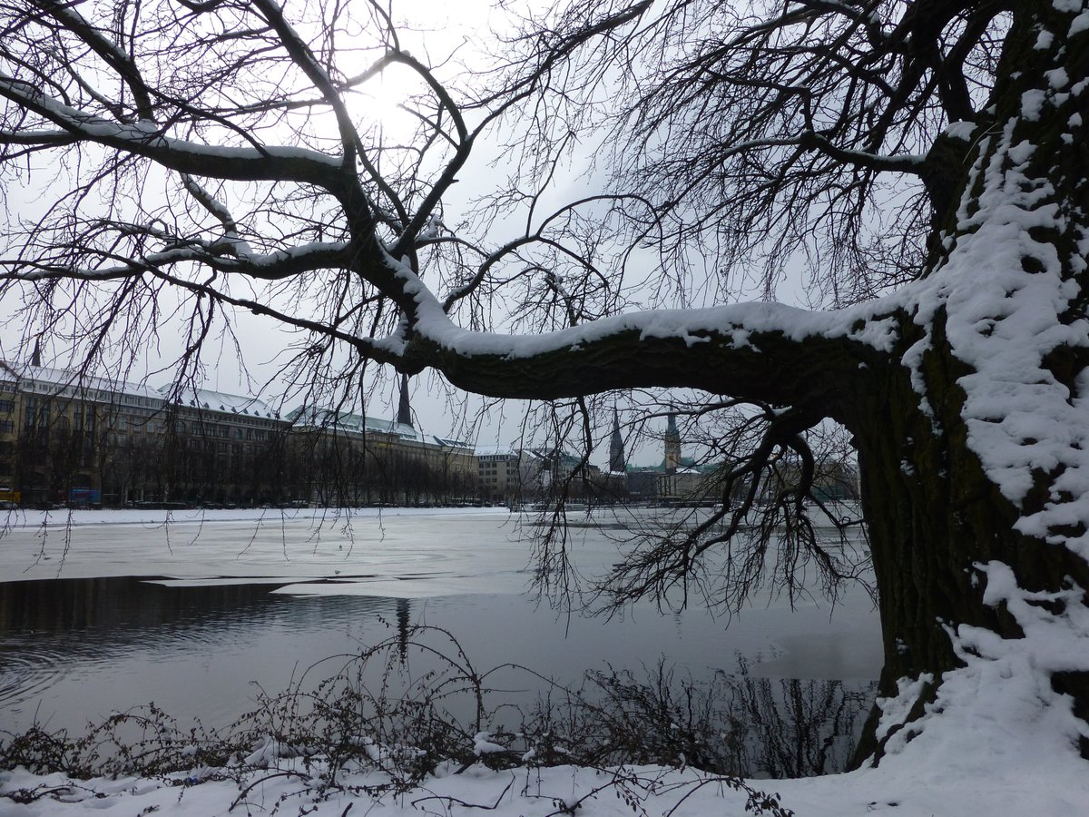 Hamburgerjung On Twitter Winterliche Eindrucke Vom Japanischergarten Von Der Binnenalster Und Der Aussenalster In Hamburg Winter Schnee Frost Und Eis In Der Hansestadt Haben Auch Ihre Schonen Seiten Wenn Der Schneeinhamburg