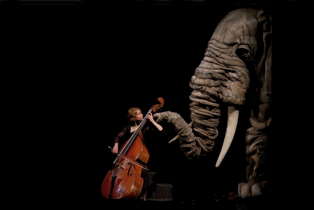 OSRMurcia's tweet photo. 'Soñando el carnaval de los animales', de @TiteresEtcetera, será el último de nuestros #ConciertosEnFamilia  en el @AUDITORIOMURCIA (15 abril). Un espectáculo de títeres y música clásica en directo delicado, envolvente, ¡impresionante! Entradas a la venta: https://t.co/rlaFlA7vXM https://t.co/NpGfrFKawt