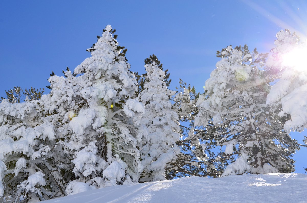baqueira_beret tweet picture