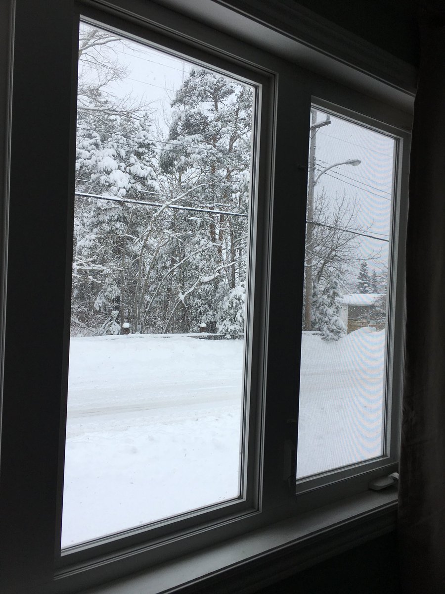 BrendaLewis709's tweet photo. It’s like a Christmas scene outside in NL today. https://t.co/OBckN4Chcn