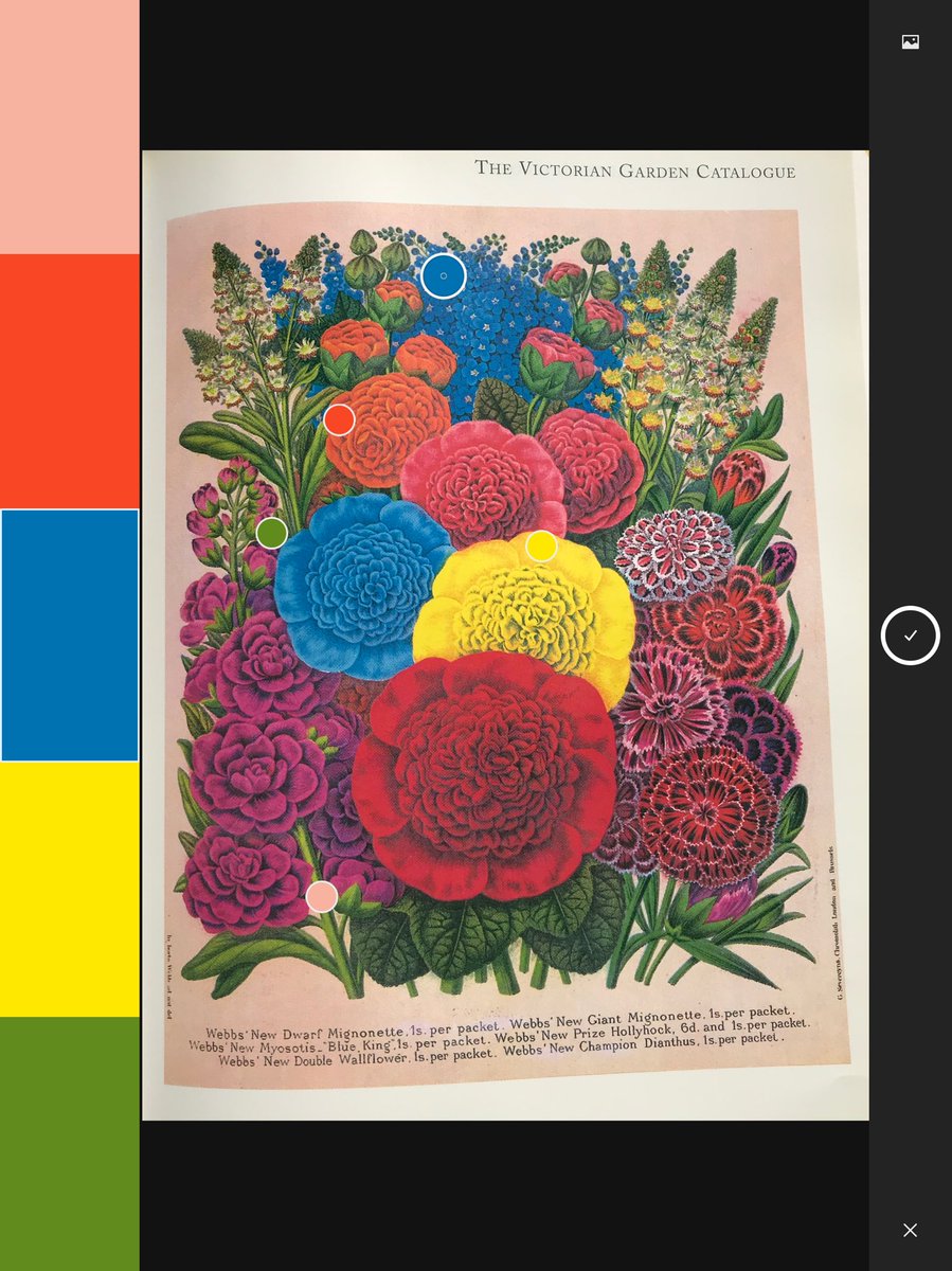 RoughDesigns's tweet photo. Having a play around with #adobecapture picking out a #vintage #inspired #colourpallet from this amazing book featuring #Victorian #garden #catalogues 🌺 https://t.co/XKaeiPOILR
