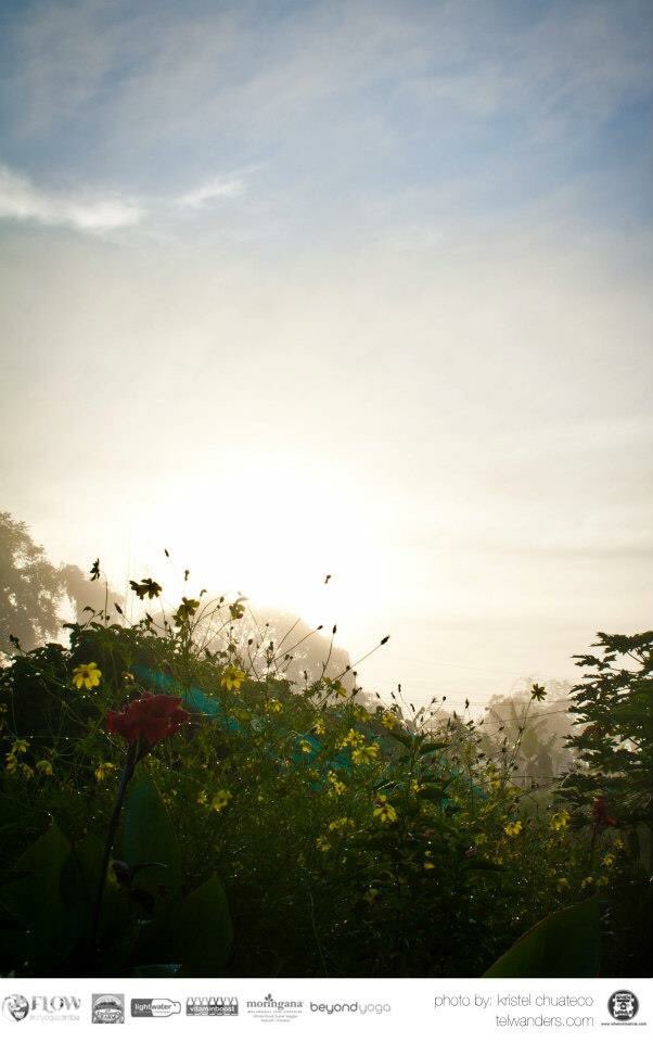 Dayscape Summer Fitness Retreat on March 4! discover how to stay fit &amp;healthy this summer☀️ Details at flowretreats.com