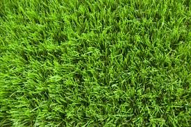 ExperigreenAA tweet picture