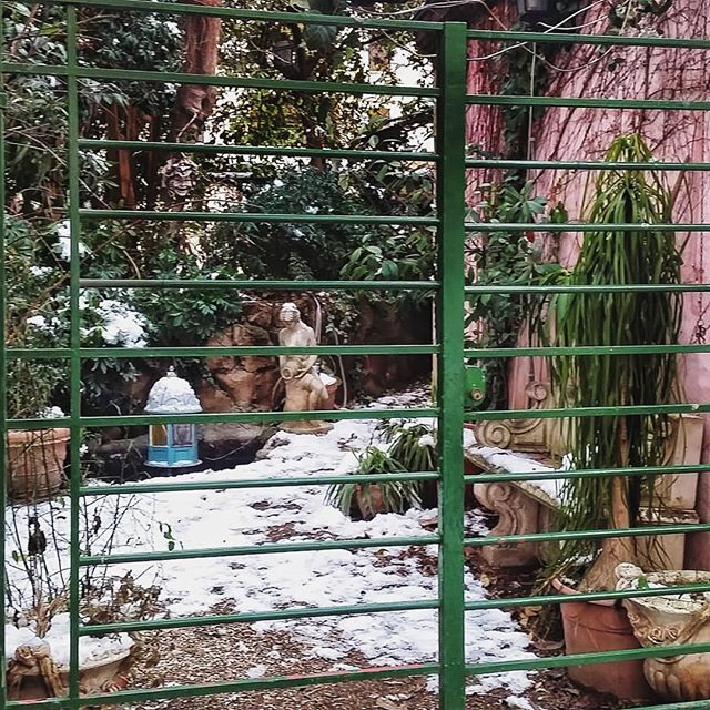 GroovyElisa's tweet photo. Il "mio" giardinetto del ❤, dopo la nevicata di ieri, è, se possibile, ancora più magico.
_________________________________________
#thedayafter #giardinoprivato #littlegarden #secretgarden https://t.co/gqXlYal06V https://t.co/VHAEPsbcnT