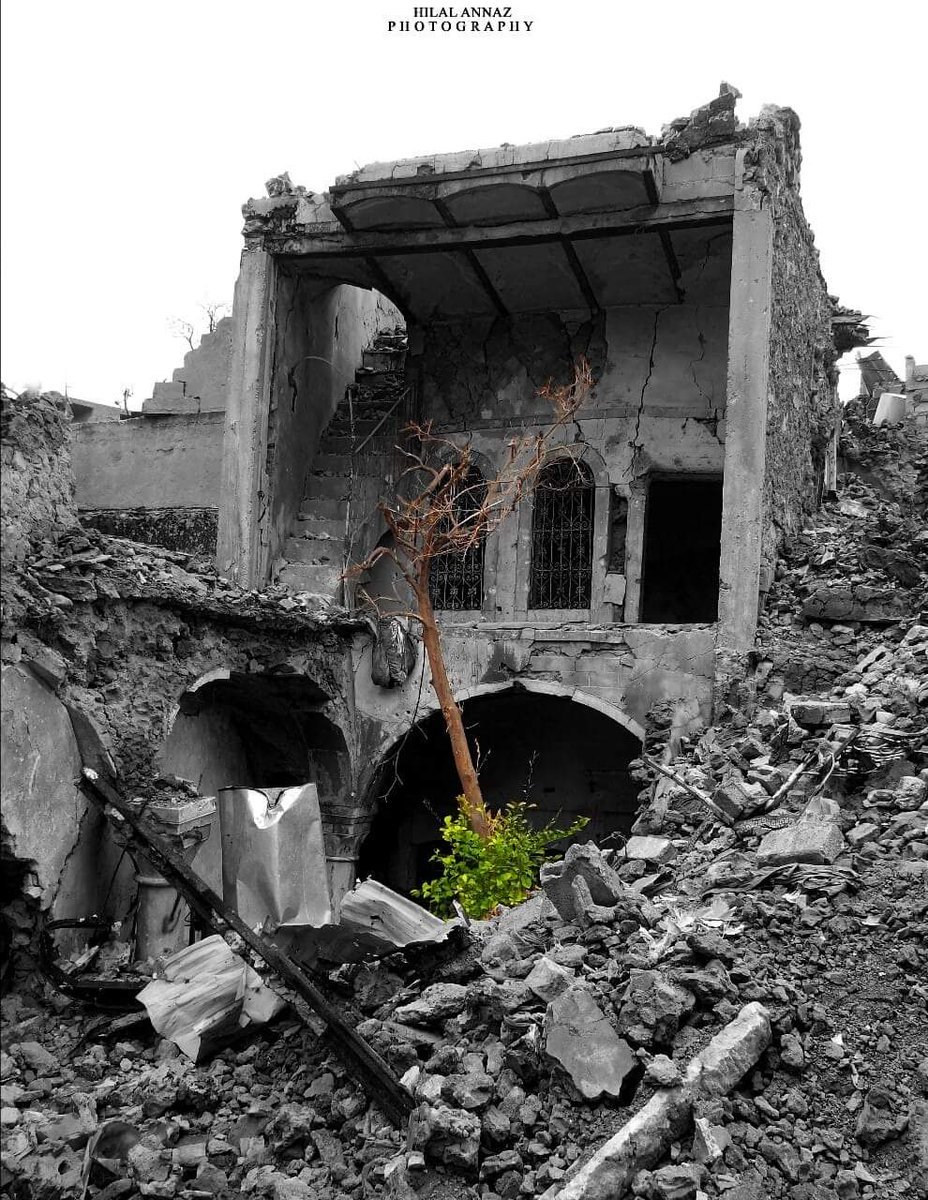 GilgameshNabeel's tweet photo. Grow a tree amid destruction! light a candle amid darkness, break the stillness and launch reform projects! Participate rebuilding #Mosul and never #surrender despite the massive damage. Be the #hope for others.
#rebuildiraq #StandWithMosul #Reconstruction https://t.co/DWc5gAeLE3