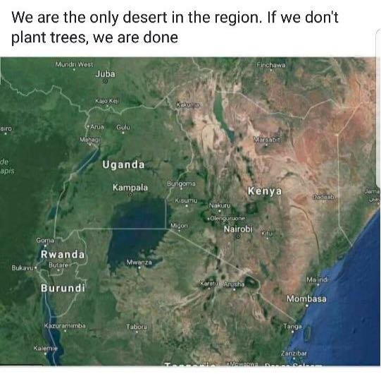 p_amayoO's tweet photo. St. Austins Academy in Nairobi will tomorrow, 28 FEB 2018, have a series of events dubbed #YouthStandUp #ShoutOut4ClimateJustice. The whole school will be planting trees, cleaning the environment #CleanNairobi, putting up posters for awareness raising.
@weza_prog @idisforum https://t.co/N0G8rbzRos