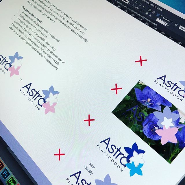 BureauDaan's tweet photo. #huisstijl #huisstijlontwerp #huisstijlhandboek #manual #logo #identityguidelines #identity #graphicdesign #corporatedesign https://t.co/NLa0UT5qUU https://t.co/b52wuuDWsu