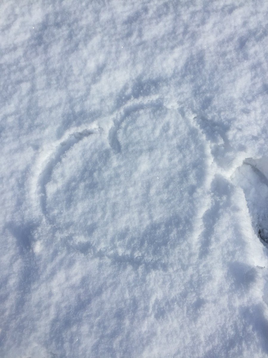 kingdom_yoga's tweet photo. Today classes @Kingdom_pen @kingdom_yoga will be cancelled. Enjoy your snow day.. 💎❄️✨ https://t.co/WxGwv1lskp