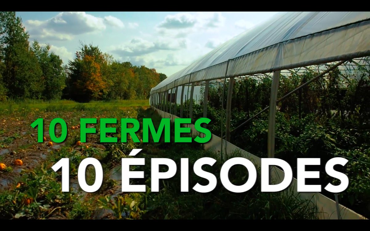 Notre campagne de sociofinancement sur <a href="/ululeCA/">Ulule Canada</a> est lancée! Découvrez le projet «Compagnons Maraîcher.e.s - La série web» et contribuez à sa réalisation! #agqc #agriculture #bio #paysan #sérieweb #websérie #tv #Québec #Montréal ➡ fr.ulule.com/cm-serieweb/