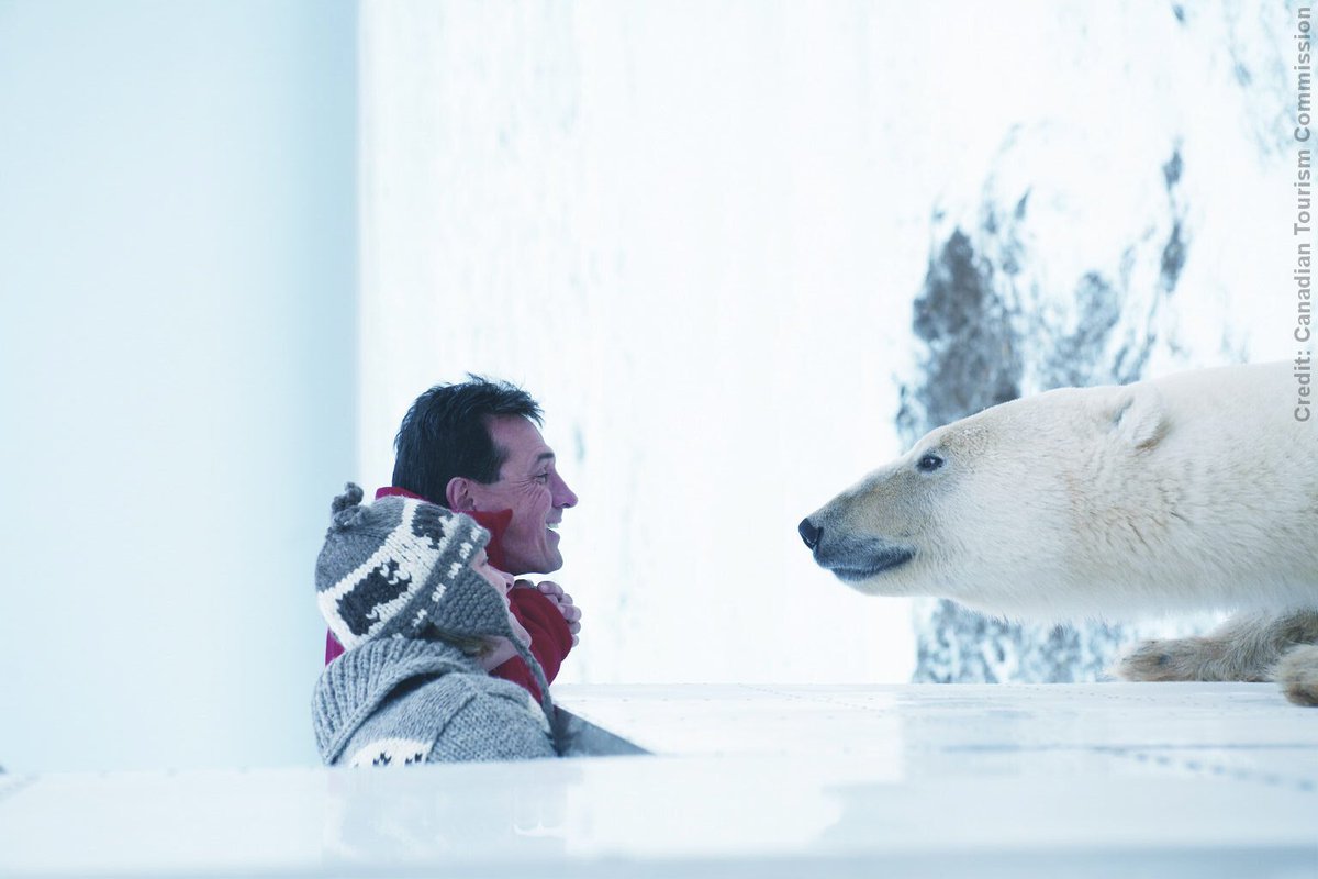 Canada2EU's tweet photo. #DYK Canada is home to 2/3rds of the world’s #polarbears? On #InternationalPolarBearDay learn how Canada is protecting them: https://t.co/eVNn8YTcaZ #IPBD https://t.co/A6mhQVy8qs