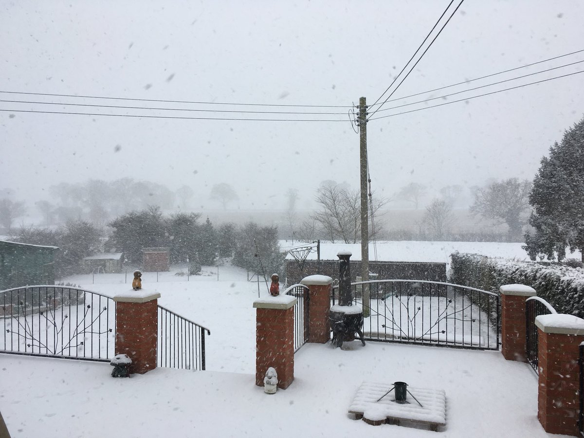 mark tye tweet media