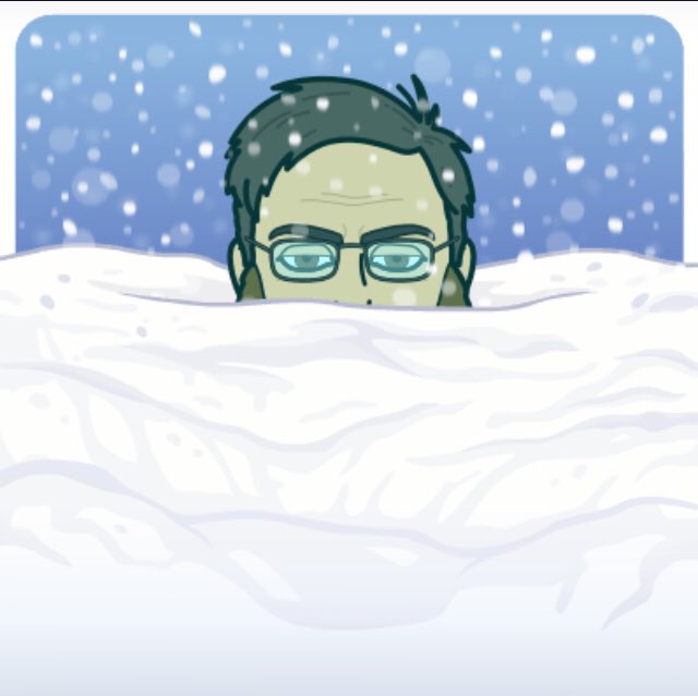 CrashData's tweet image. Snowed under with module repairs and snow !!