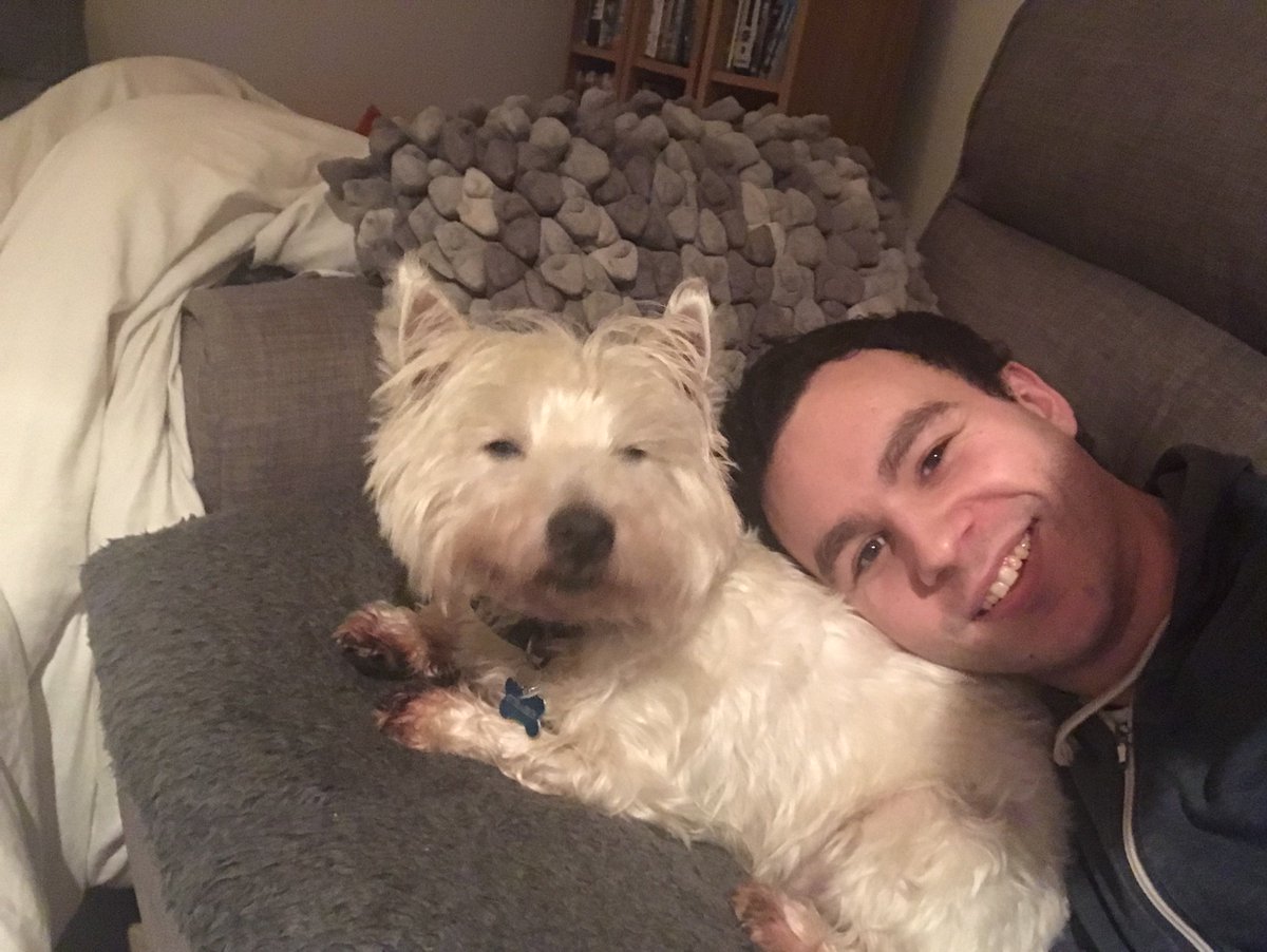 EndpointPete's tweet photo. Jeff's back from holiday looking like he went to Amsterdam himself! #StonedDog #Jeffthewestie
LIVE 200NL Zoom #poker
https://t.co/wxGloGIbR5 https://t.co/dpIO9fN73S