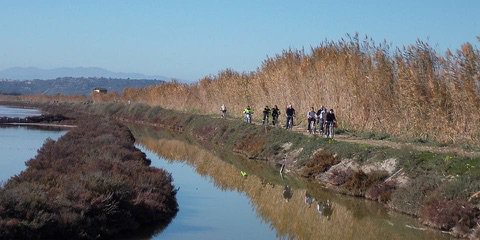 viagginbici's tweet photo. Alla scoperta di Cagliari in bicicletta con i bambini. Alla ricerca di ciclabili per donne in bici con pargolo a seguito? Trovare luoghi in cui pedalare con tutta calma, in pianura, magari con delle soste dedicate lungo il percorso, è fondamentale.https://t.co/LnV9SS2mLY https://t.co/Kf6NyS9Key