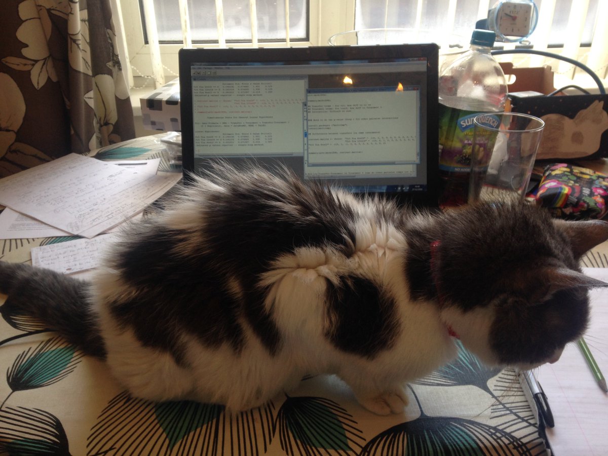 ceferris44's tweet photo. He really does try to get in the way of work, it's like he wants attention or something! #CuteCats https://t.co/ZabgMwuyPt