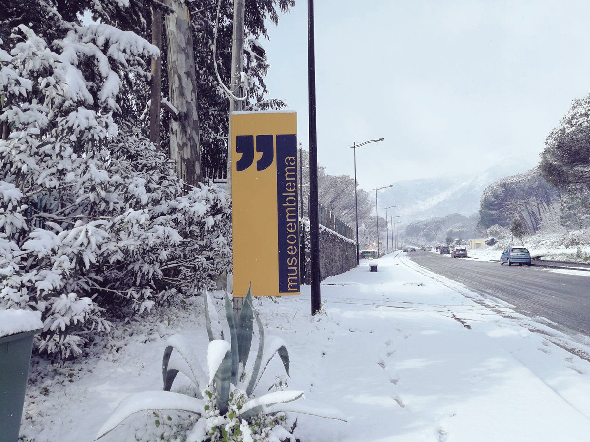 Museo Emblema tweet media